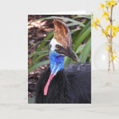 Southern Cassowary Karte (Gelbe Blume)