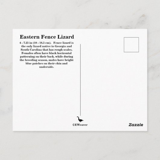 Southern Fence Lizard Postcard Postkarte (Rückseite)