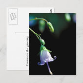 Southern Harebell Postkarte (Vorne/Hinten)