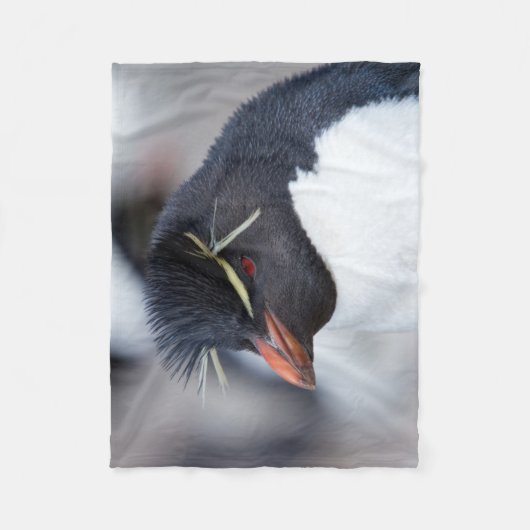 Southern Rockhopper Penguin Fleecedecke (Vorderseite)