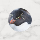 Southern Rockhopper Penguin Konfetti (Klein Vorderseite)