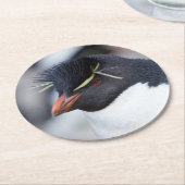 Southern Rockhopper Penguin Runder Pappuntersetzer (Angewinkelt)