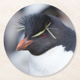 Southern Rockhopper Penguin Runder Pappuntersetzer