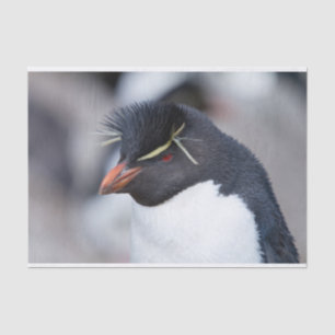 Southern Rockhopper Penguin Seidenpapier