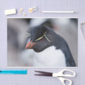 Southern Rockhopper Penguin Seidenpapier (Handwerk)