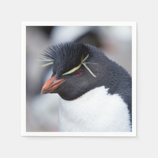 Southern Rockhopper Penguin Serviette (Vorderseite)