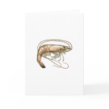 Southern Shrimp Art