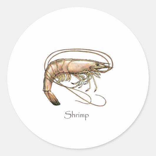 Southern Shrimp Art Logo Runder Aufkleber (Vorderseite)