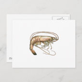 Southern Shrimp Art Postkarte (Vorne/Hinten)