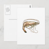 Southern Shrimp Art Postkarte (Vorne/Hinten)