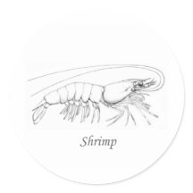 Southern Shrimp Line Art Logo