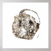 Southern Stingray Poster (Vorne)