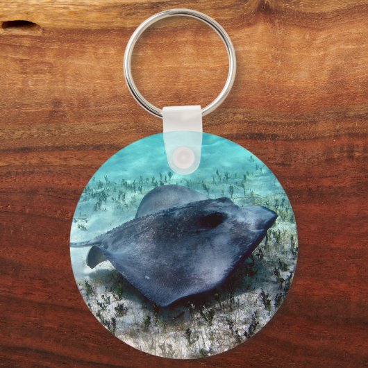 Southern Stingray Schlüsselanhänger (Vorderseite)