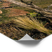 Southern Vista - Big Bend, Texas Poster (Ecke)