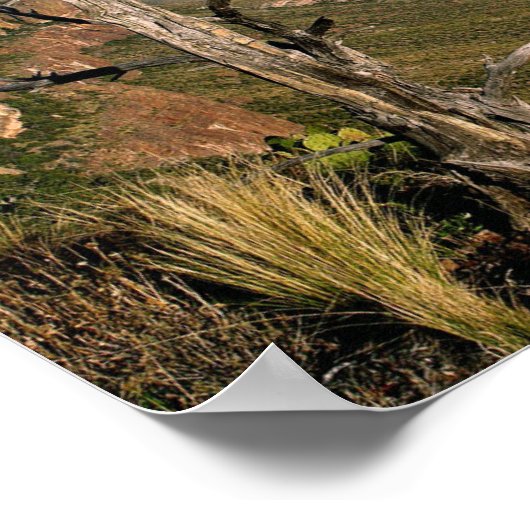 Southern Vista - Big Bend, Texas Poster (Ecke)