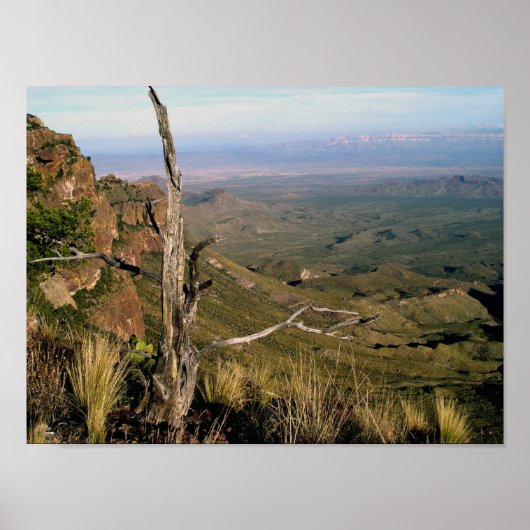 Southern Vista - Big Bend, Texas Poster (Vorne)