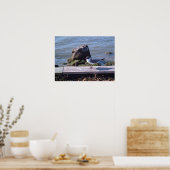 Southport, North Carolina - Seagull Poster (Küche)