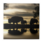 Southwestern Art Tile Fliese (Vorderseite)