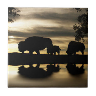 Southwestern Art Tile Fliese