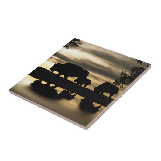 Southwestern Art Tile Fliese (Seite)