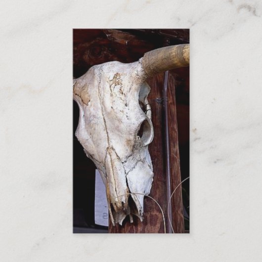 Southwestern Business/Visitenkarte Visitenkarte (Vorderseite)