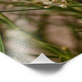 Southwestern Forager Fotodruck (Ecke)