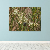 Southwestern Forager Leinwanddruck (Insitu (Holzboden))