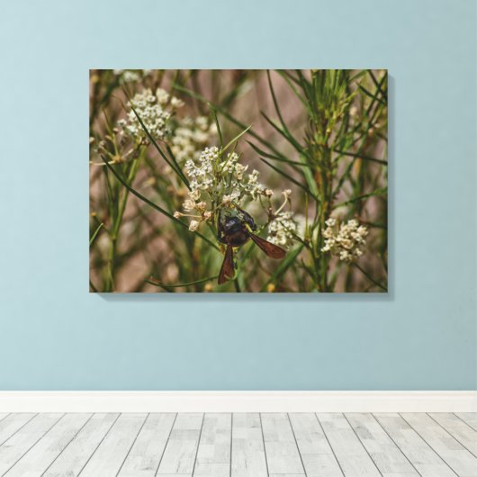 Southwestern Forager Leinwanddruck (Insitu (Holzboden))