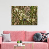 Southwestern Forager Leinwanddruck (Insitu (Wohnzimmer))