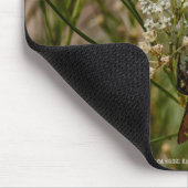 Southwestern Forager Mousepad (Ecke)
