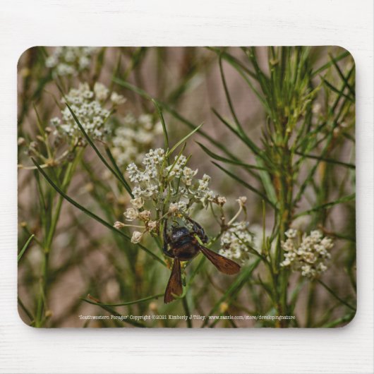 Southwestern Forager Mousepad (Vorne)