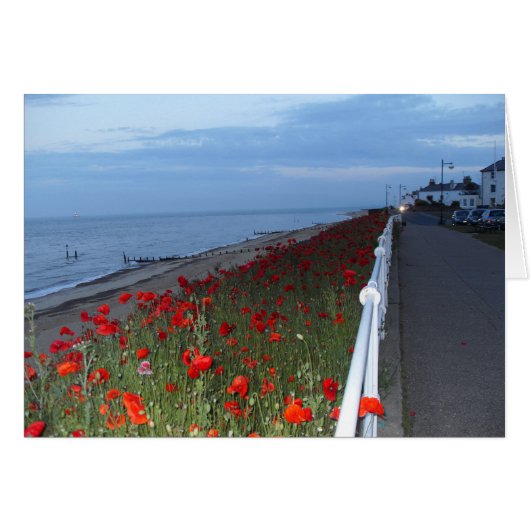 Southwold and Poppies bei dunkler leerer Karte (Vorderseite (Horizontal))
