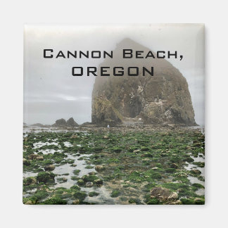 Souvenir Magnet: Cannon Beach, OR Magnet