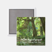 Souvenir Magnet—Hoh Rainforest, Olympic NP Magnet (Vorderseite/Rückseite)