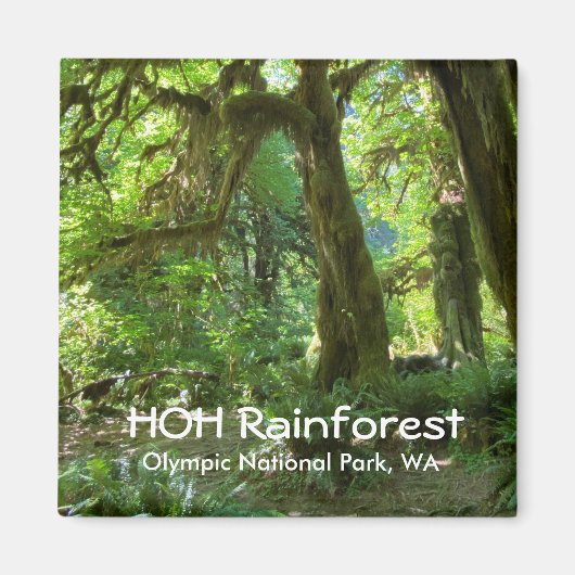 Souvenir Magnet—Hoh Rainforest, Olympic NP Magnet (Vorne)