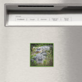 Souvenir-Magnet Magnet (In Situ (Geschirrspüler))