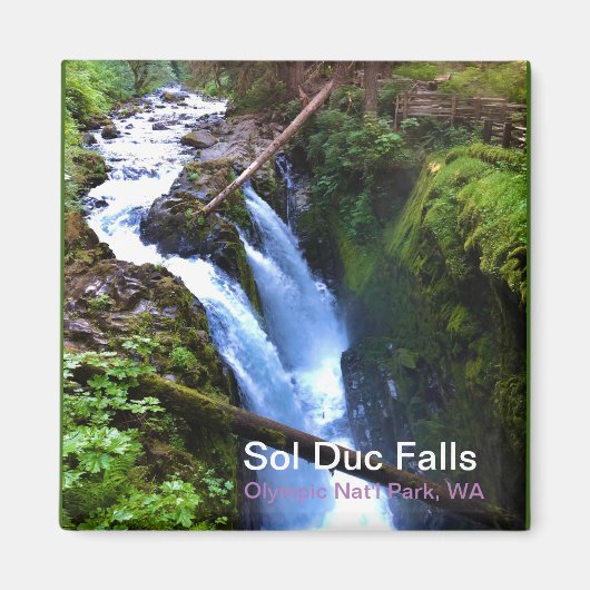 Souvenir Magnet: Sol Duc Falls, Olympic Nat'l Park Magnet (Vorne)