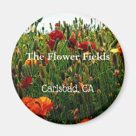 Souvenir Magnet, The Blume Field, Carlsbad, CA. Magnet