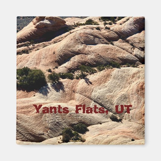 Souvenir Magnet: Yants Flats, St. George, UT Magnet (Vorne)