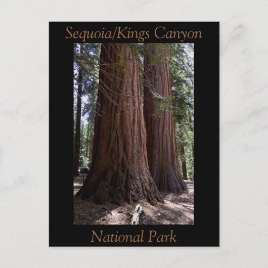 Souvenir Sequoia Kings Canyon Nationalpark Postkarte (Vorderseite)