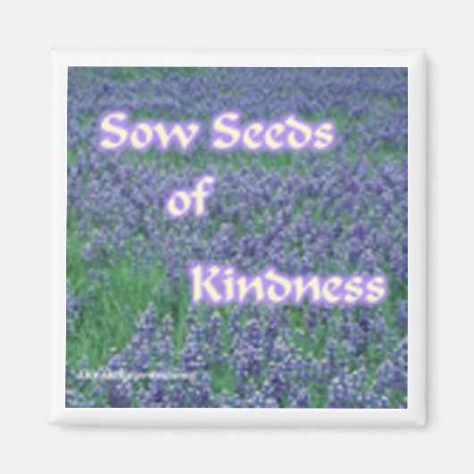 Sow Kindness Magnet (Vorne)
