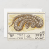 Sowjetische Briefmarke Postkarte (Vorne/Hinten)