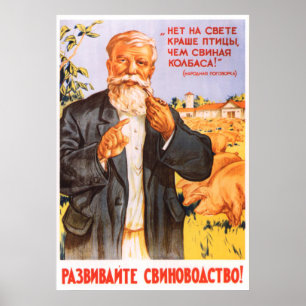 Sowjetisches Kolkhoz Propagandaplakat 1955 Poster