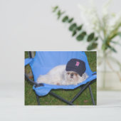 Sox Postkarte (Stehend Vorderseite)