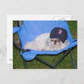 Sox Postkarte (Vorne/Hinten)