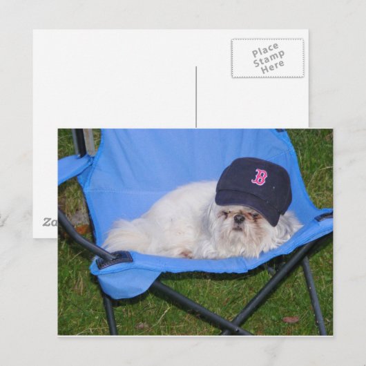 Sox Postkarte (Vorne/Hinten)