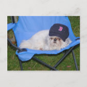 Sox Postkarte (Vorderseite)