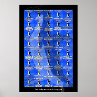 Sozial-Awkward-Pinguin-Poster Poster
