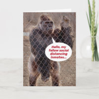 Soziale Distanzierung Gorilla Förderung und Kopplu