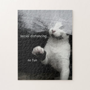 Soziale Distanzierung Kitten Puzzle